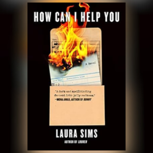 How Can I Help You by Laura Sims